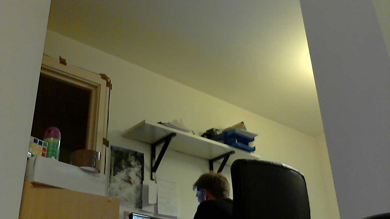 指定 `--no-banner` 可保存无时间戳横幅的图像